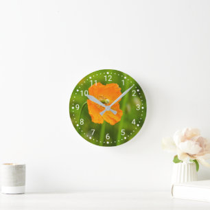 Bloeiende oranje klaproos bloem foto op groen ronde klok