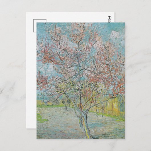 bloeiende perzikboom briefkaart (Voorkant / Achterkant)