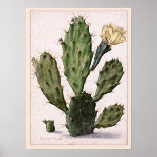 bloeiende 🌵 poster