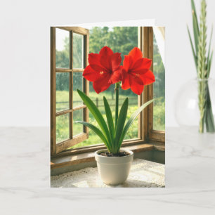 Bloeiende rode amaryllis op verjaardag kaart