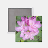 Bloeiende Rododendronstruik Magneet (Voorkant / Achterkant)