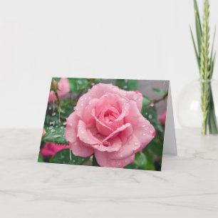 Bloeiende roze roos met regendruppels kaart