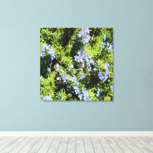 bloeiende rozemarijnstruik canvas afdruk (Insitu (Houten vloer))