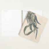 Bloeiende tak van een eucalyptus (Devant avec enveloppe)
