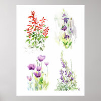 Bloeiende Tuin Kwartet Vier Botanische Aquarellen