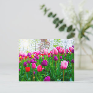 Bloeiende tulpen Bloemen in de lente Briefkaart