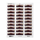 Bloeiende vijgen | Moody rustiek fruit Elegante bl Etiket (Full Sheet)