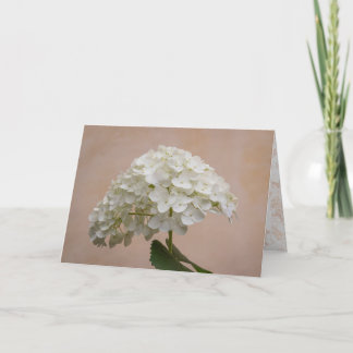 Bloeiende Vriendschap - Filippenzen 1:3 Note Kaart