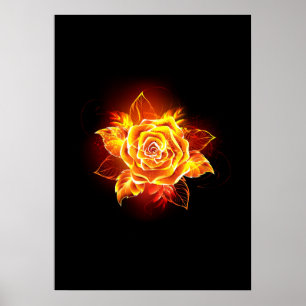 Bloeiende Vuur Roos Poster