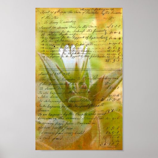 Bloeiende witte bloem  handschrift poster (Voorkant)