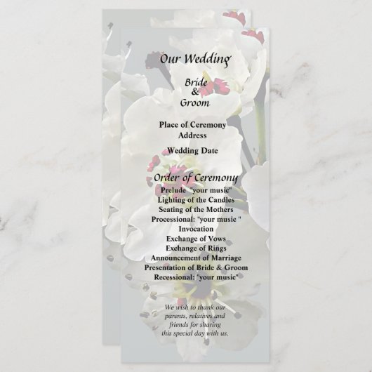 Bloeiende witte perenbloesem programma (Voorkant / Achterkant)