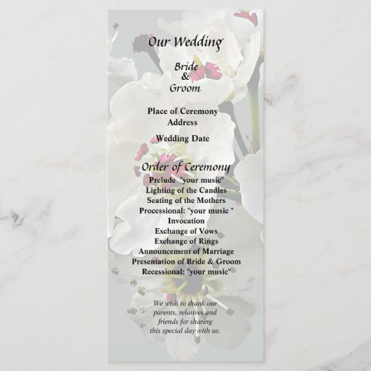 Bloeiende witte perenbloesem programma (Voorkant)