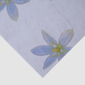 bloeit in het wit tissuepapier (Detail)