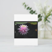 Bloem 017 Roze waterLily Briefkaart (Staand voorkant)