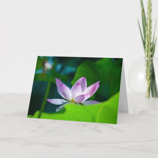 Bloem #0417 kaart (Voorkant)