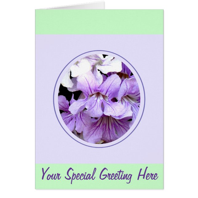 Bloem #13 (Voorkant)