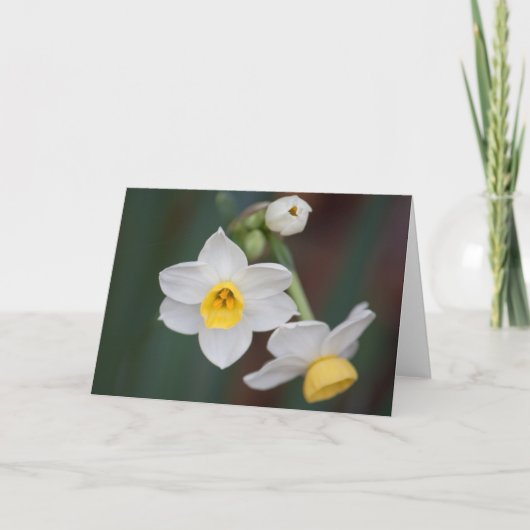 Bloem #1579 kaart (Voorkant)