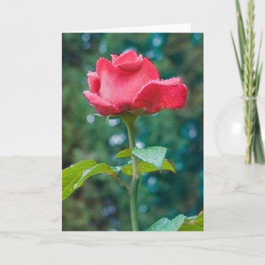 Bloem #2092 kaart (Voorkant)