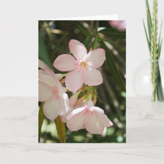 Bloem #3363 kaart