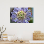 Bloem 3 poster (Keuken)