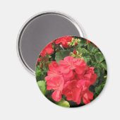 Bloem 4 magneet (Voorkant / Achterkant)