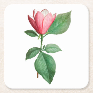 Bloem: A001 Lily Magnolia - Vierkante Kartonnen Onderzetter
