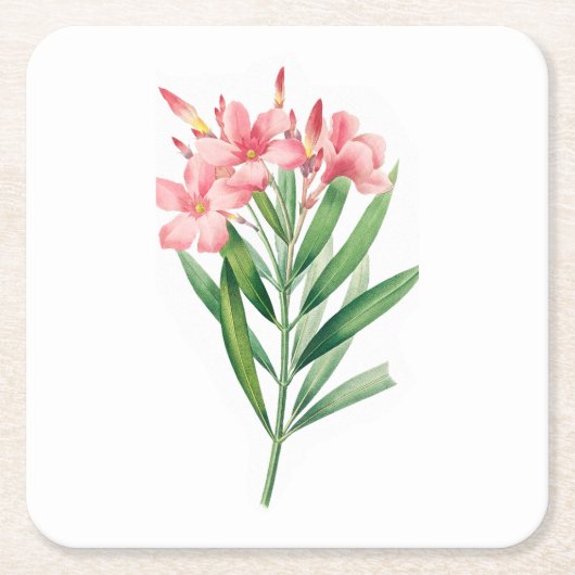 Bloem: A005 Oleander - Vierkante Kartonnen Onderzetter (Voorkant)