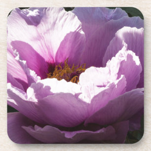 bloem bier onderzetter