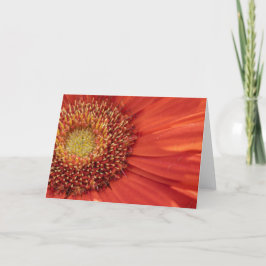 Bloem Blanco Notecard Bedankkaart