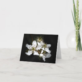 Bloem Blanco Notecard Bedankkaart