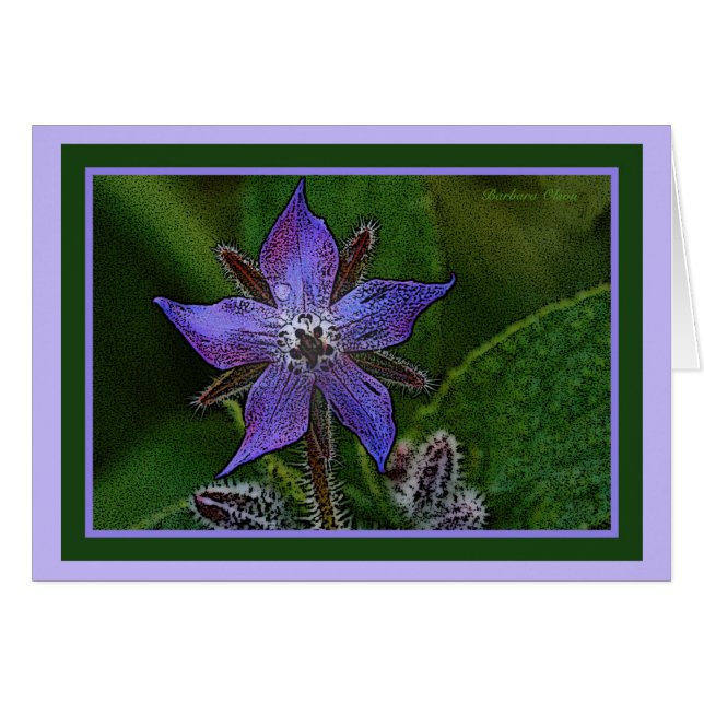 Bloem: Borage (Voorkant Horizontaal)