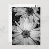 Bloem Briefkaart (Voorkant / Achterkant)