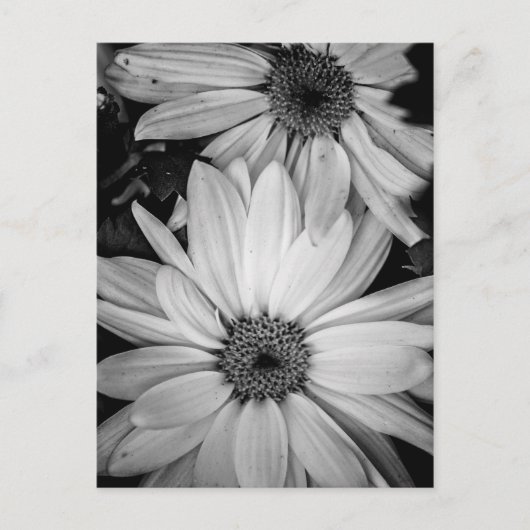 Bloem Briefkaart (Voorkant)