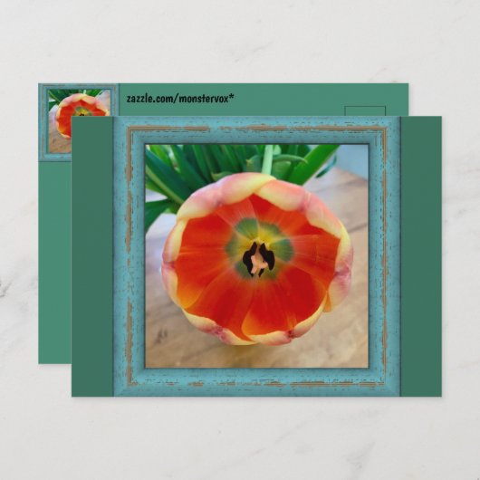 Bloem Briefkaart (Voorkant / Achterkant)