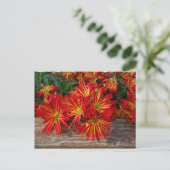 Bloem Briefkaart (Staand voorkant)