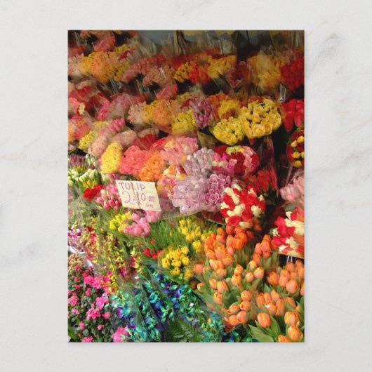Bloem Briefkaart (Voorkant)