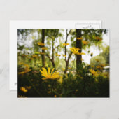 Bloem Briefkaart_01 Briefkaart (Voorkant / Achterkant)