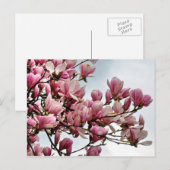 Bloem briefkaart 79 (Voorkant / Achterkant)