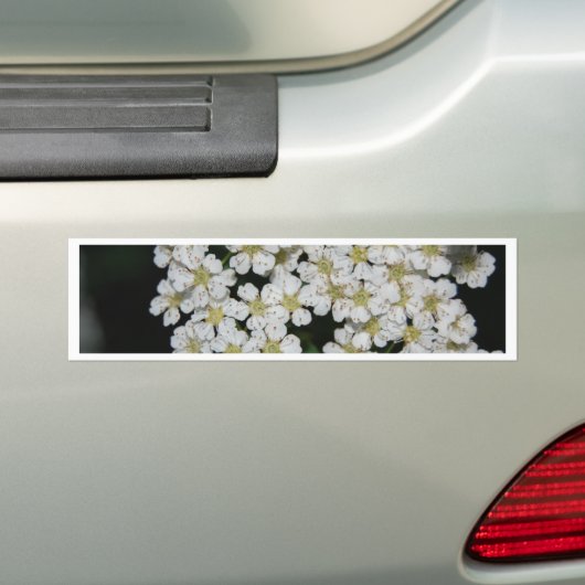 bloem bumpersticker (Op auto)