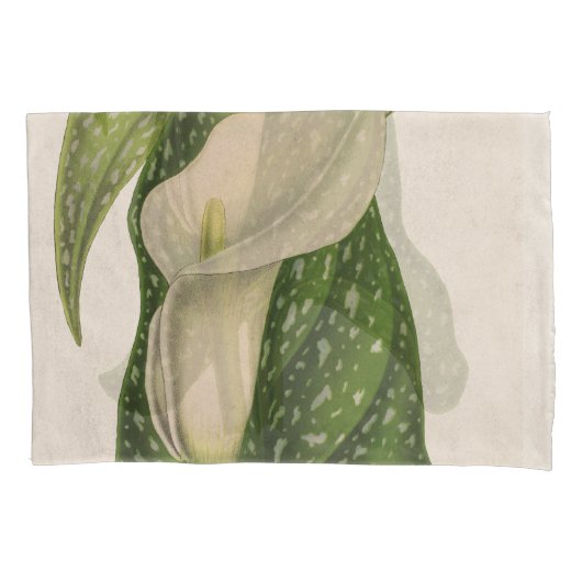  Bloem Calla Lily Green laat kleding hangen Kussensloop (Voorkant)