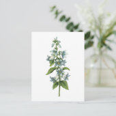 bloem (Campanula sp.) van Redouté Briefkaart (Staand voorkant)