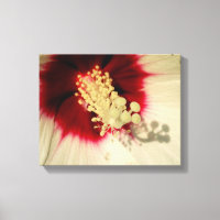 Bloem Close-up Foto Single Art Poster