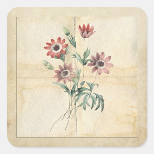  Bloem Collage Scrapbook Embellishment Vierkante Sticker (Voorkant)