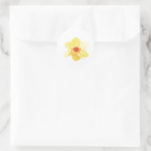 bloem Daffodil Żonkila Ronde Sticker (Tas)