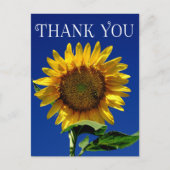 Bloem Dank u Geel Zonnebloem Bloemen Briefkaart (Voorkant)