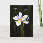 Bloem : Diëetes Bedankkaart (Voorkant)