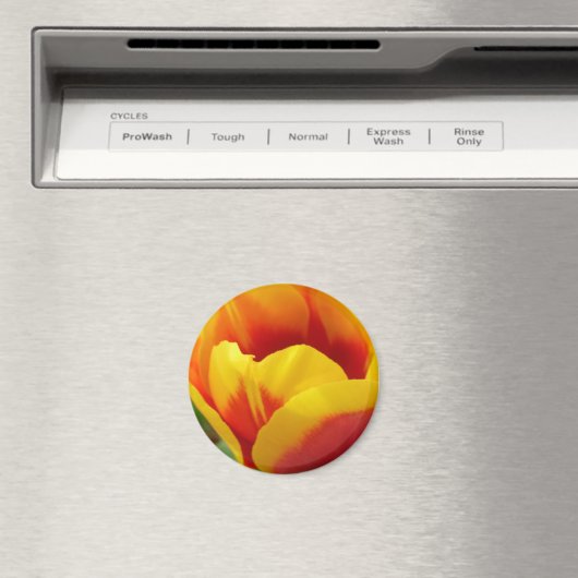 Bloem één magneet (Insitu (Vaatwasser))