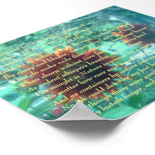 Bloem en Sonnet Poster (Hoek)