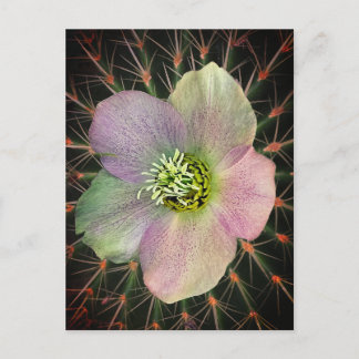 Bloem en sprinkhaan briefkaart