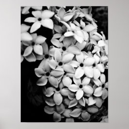 Bloem- en tuinvormgeving in vintage stijl poster
